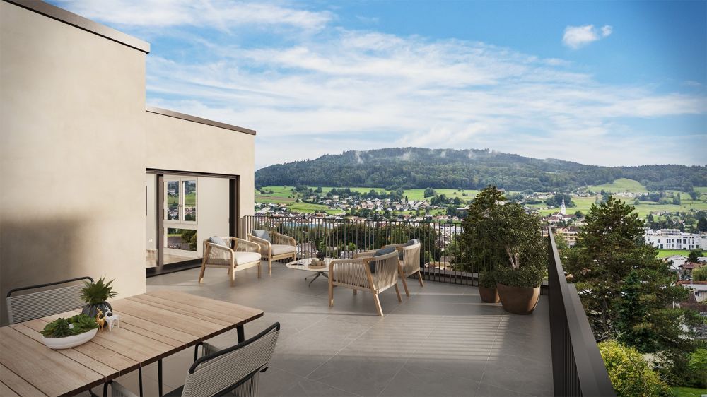 Neubau 5.5-ZI-EFH mit Attika-Geschoss / Reinach AG - Sonnenlage und Weitblick -  Bild 1