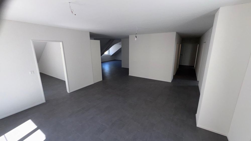 Moderne 4.5-Zimmer-Dachwohnung mit Waldblick in Langnau am Albis -  Bild 9