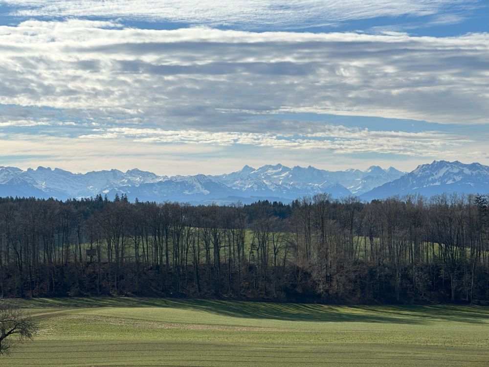 Grosszügige 3.5 Zimmer-Wohnung mit wundervoller Aussicht auf das Bergpanorama -  Bild 2