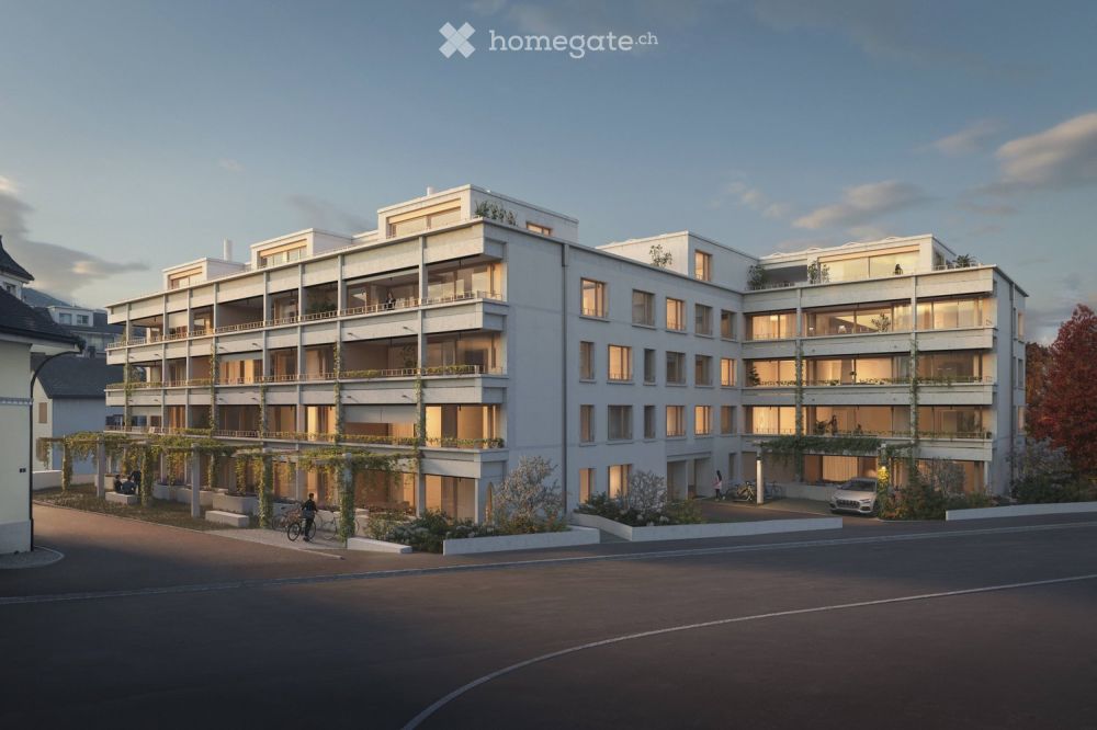 Erstvermietung Neubau "la Loggia- Siebnen" 4.5 Zi  34 Min vom HB Zürich -  Bild 2