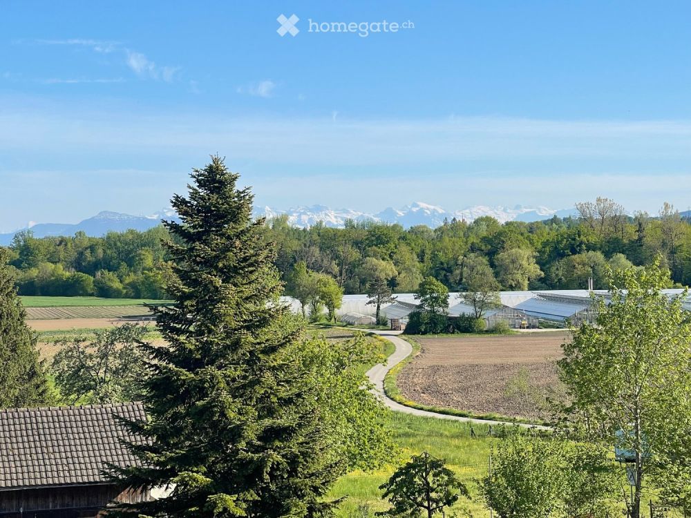 Erstbezug: Moderne 2.5, 3.5, 4.5 & 5.5-Zi-Wohnungen mit Terrasse/Balkon mit Aussicht in Eggenwil -  Bild 4