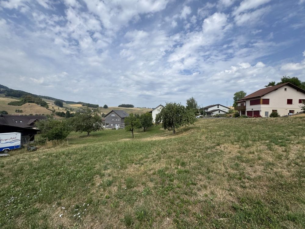 D'EFH + freistehendes EFH an idyllischer und ruhiger Lage -  Bild 5