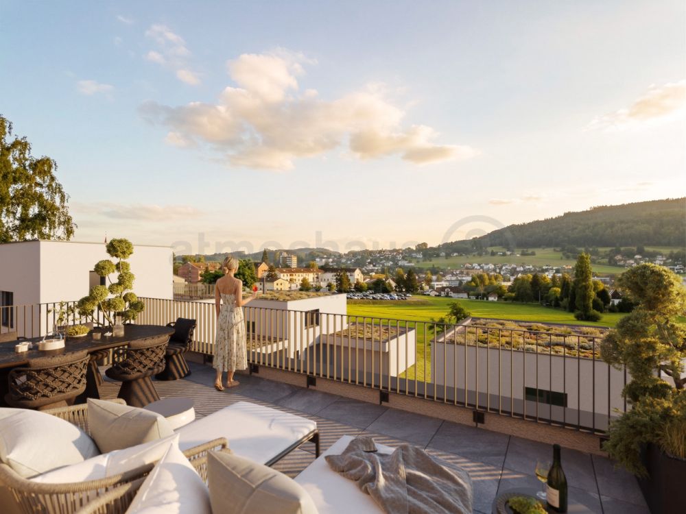 EFH mit Attika, riesigem Grundstück & unverbaubarer Sicht in Reinach -  Bild 3