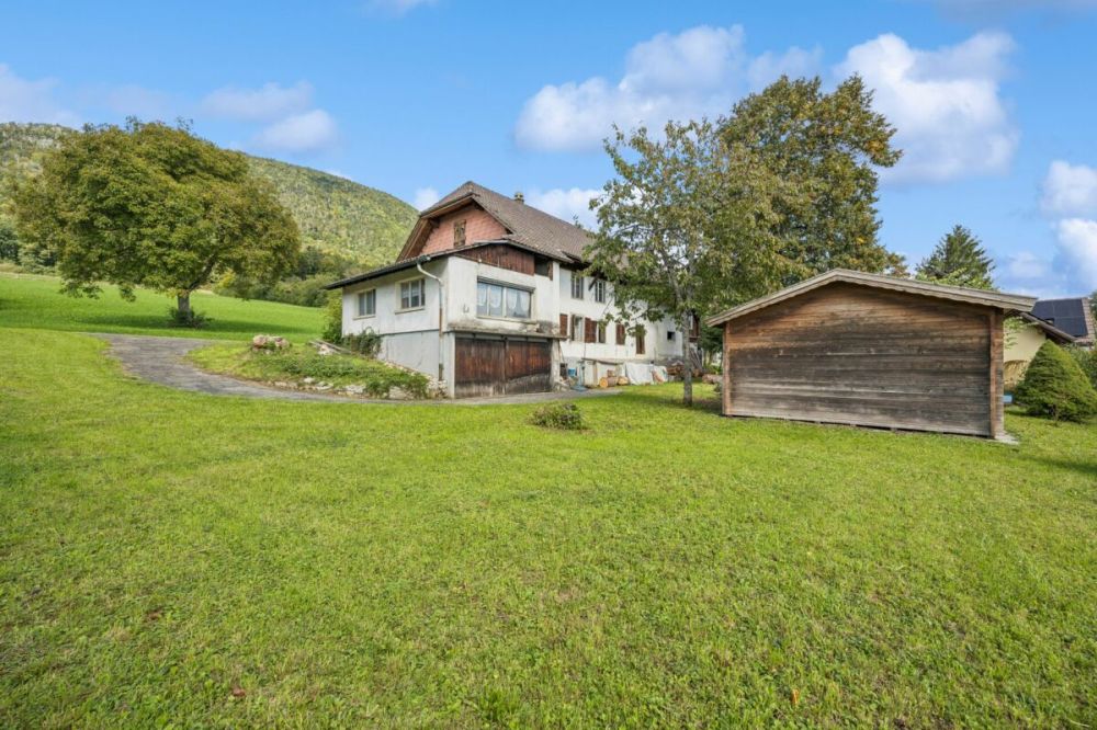 Bauland mit Altbauliegenschaft in Bettlach mit vielseitigen Nutzungsmöglichkeiten - Grosszügiges Grundstück