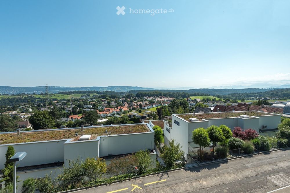 Neubau Doppeleinfamilienhaus in Langnau am Albis -  Bild 2
