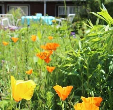 8 Zi-Wohnhaus mit Garage & Garten - Garten