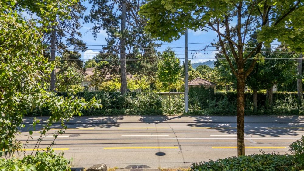 2.5 Zimmer mit eigenem Grün - im Kreis 3 - Projekt Herbie - Aussicht Gartenwohnungen