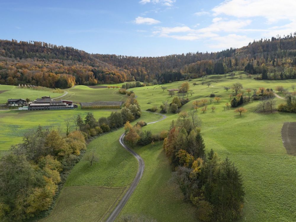 WOHNEN MIT WEITBLICK: Neubau 3.5-Zimmer-Wohnung in Wegenstetten - Bild 8