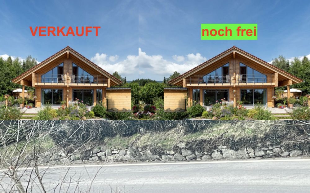 Neubauprojekt : Einfamilienhaus 5.5 Zimmer -  Bild 1