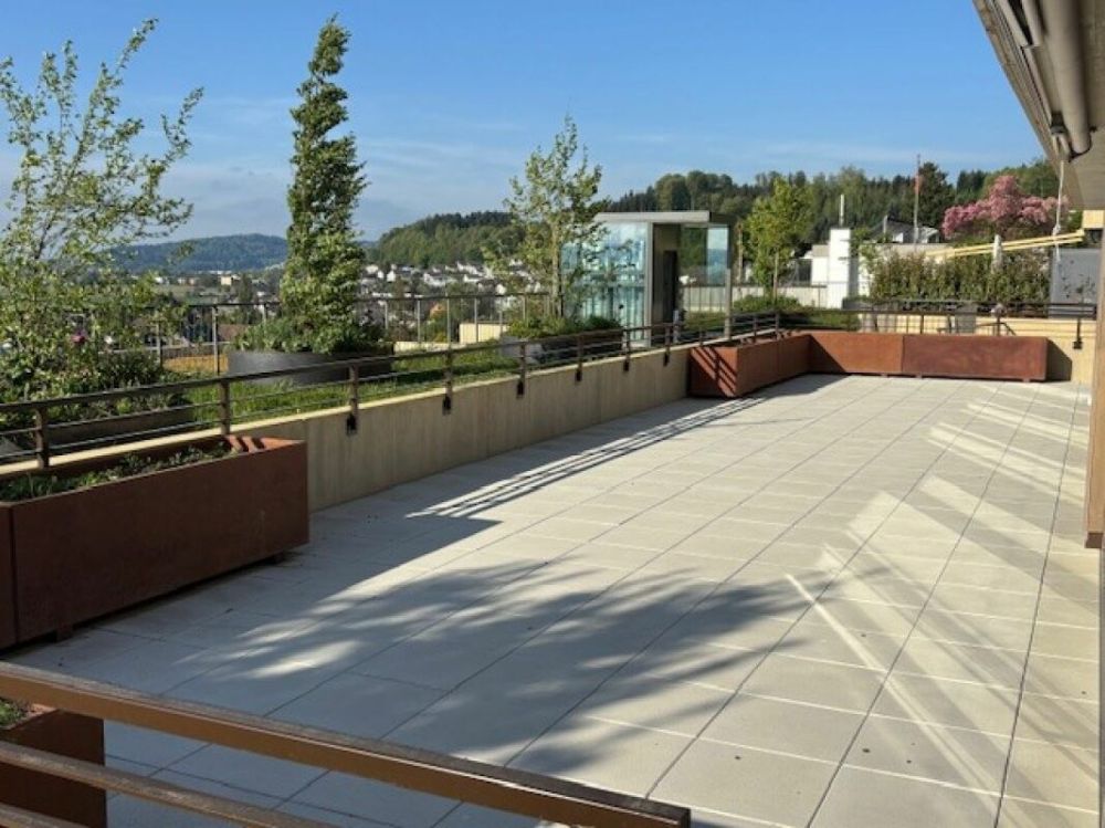 4½-Zimmer-Terrassenhaus mit Aussicht auf Alpen und Aarelandschaft -  Bild 7