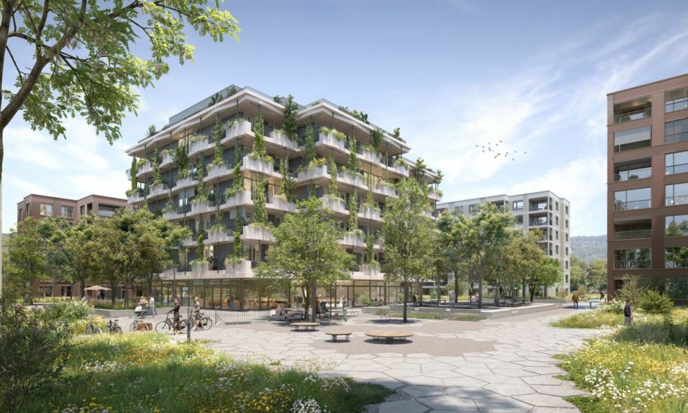 3.5-Zimmer-Neubauwohnung in ruhigem Wohnquartier - Bild 5