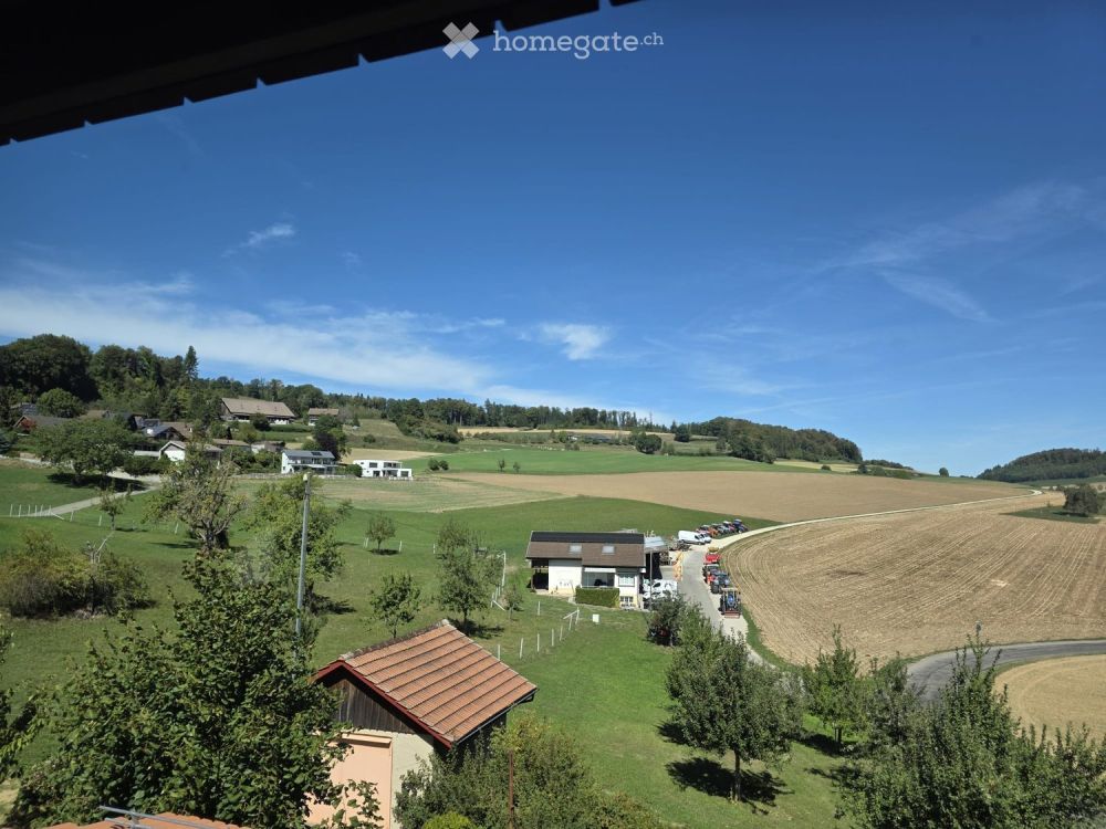 Modern wohnen im Dorfkern – 4.5-Zimmer-Neubauwohnung in Schneisingen -  Bild 4