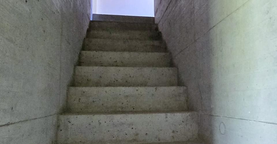 Villa contemporaine d'architecte - Villa 4.5 pièces - image - 5