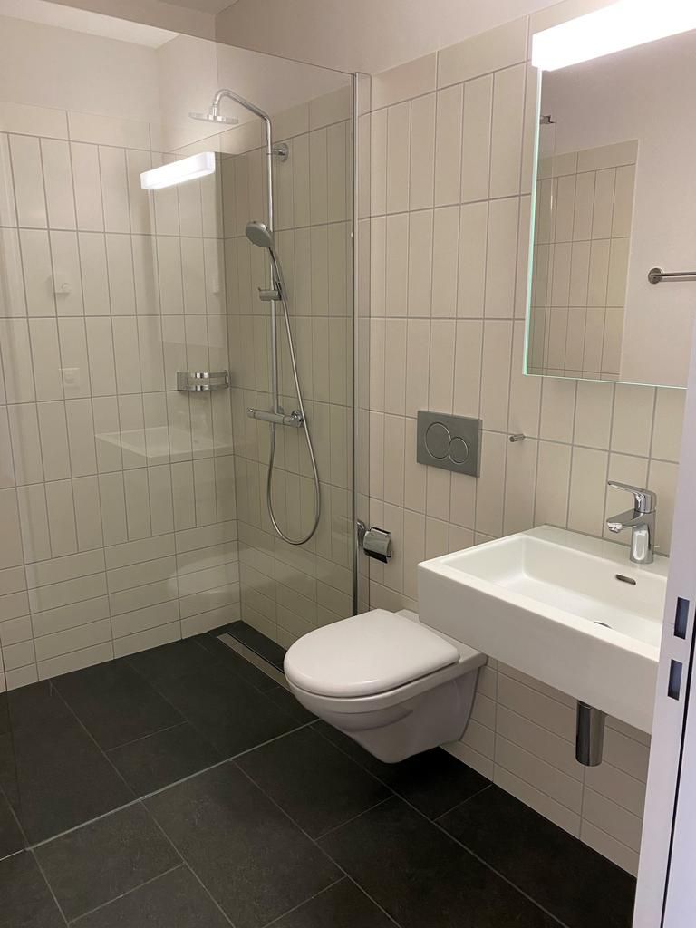 Attraktive 4.5 Zimmer-Neubauwohnung an ruhiger Lage -  Bild 7