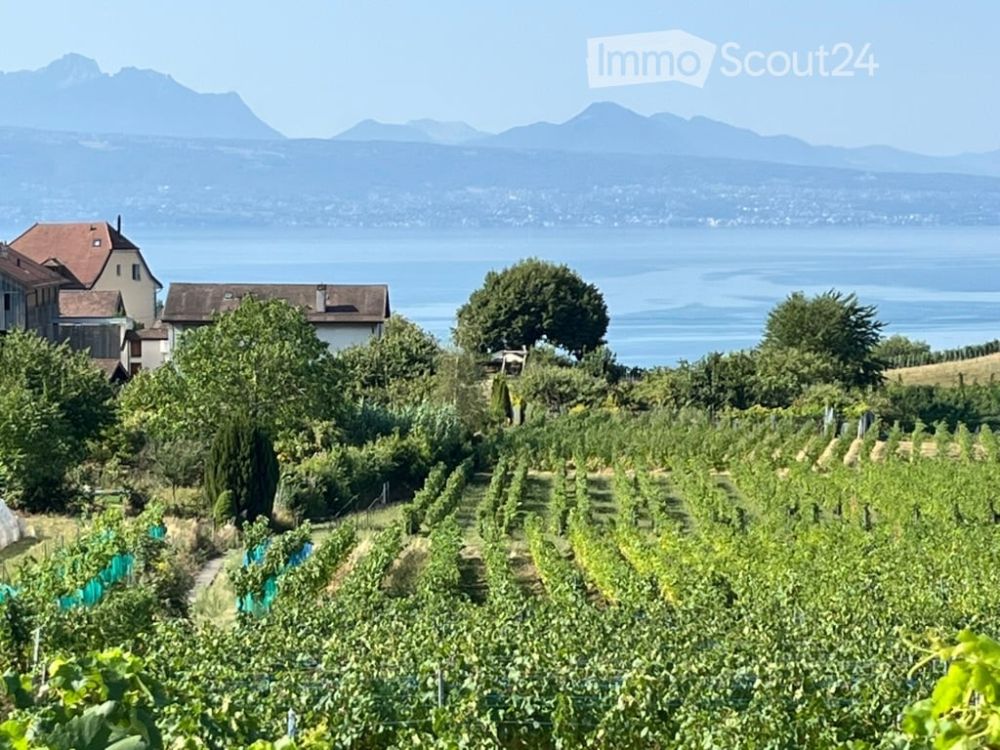Magnifique maison individuelle de 10 pièces à Savuit / Lutry -  Bild 5