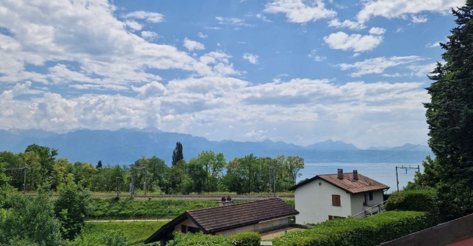 Appartement neuf 4.5 p avec jardin et vue sur les Alpes. Dernier lot - Appartement 4.5 pièces - image - 3