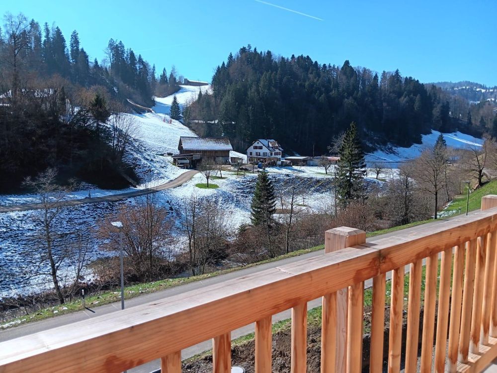 Einzigartiges Blockhaus – neu, modern und traumhaft schön - Bild 3