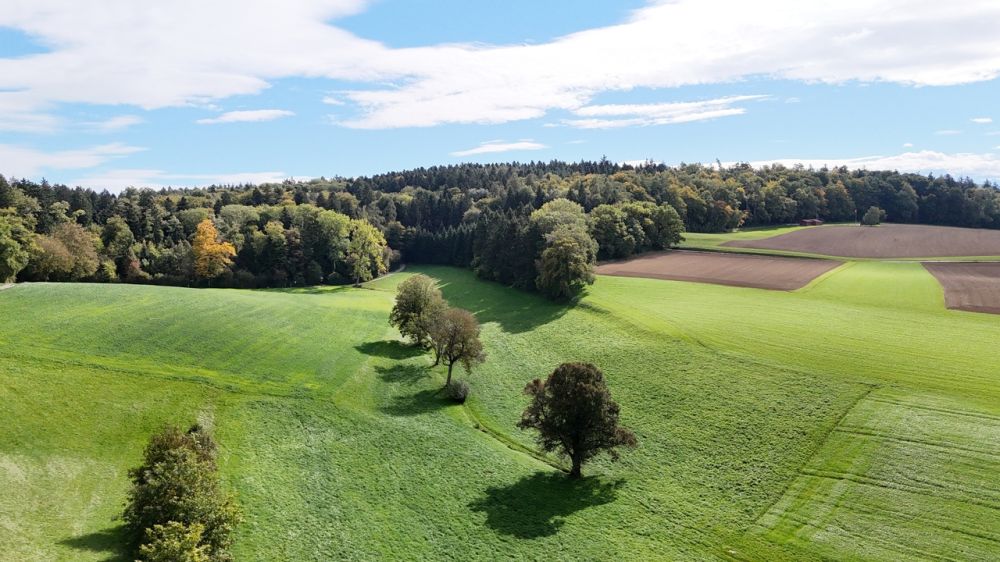 NEUBAU-JUWEL: 3.5-Zimmer-Wohnung mit Terrasse - Bild 6