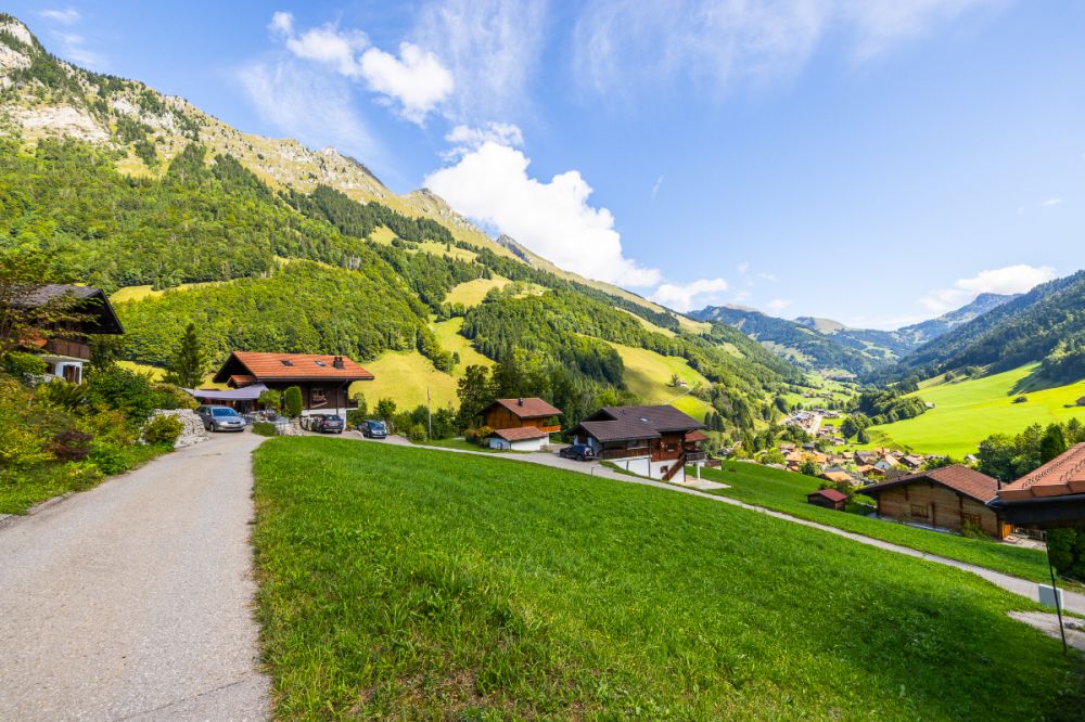 Neues Projekt: AlpenSchönheit im Alltag erleben -  Bild 6