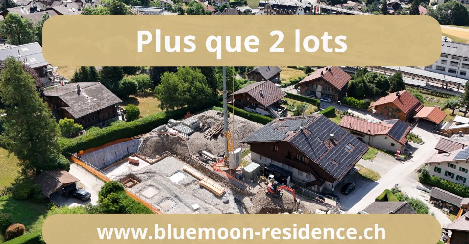 Panorama exceptionnel - Travaux en cours ! - Appartement 4.5 pièces - image - 1