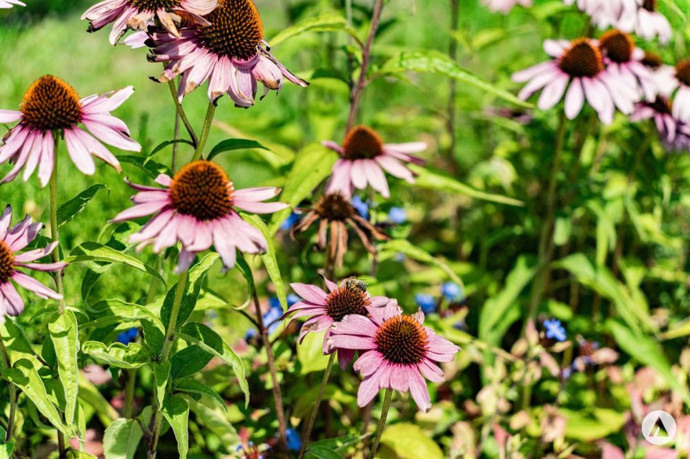 reblodge - Architektonisch hochwertige Einfamilienhäuser - Bild 7