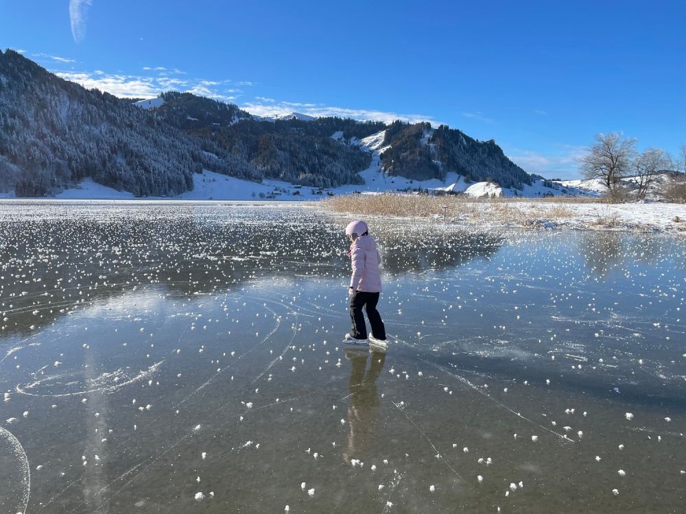 4.5-Zimmer-Neubau mit Seesicht in Euthal bei Einsiedeln - Bild 4