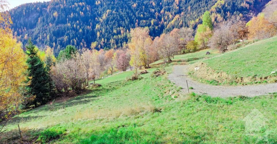 Chalet de 5.5 pièces sur plan, calme, ensoleillé - Chalet 5.5 pièces - image - 1