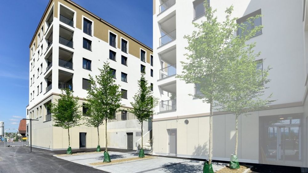 MODERNE WOHNUNG IM EIGENTUMSTANDARD -  Bild 1