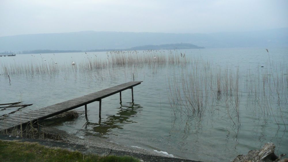 3 Minuten zu Fuss vom See entfernt wohnen 4.5 Zimmer-Wohnung im Hochparterre Lüscherz am Bielersee -  Bild 4