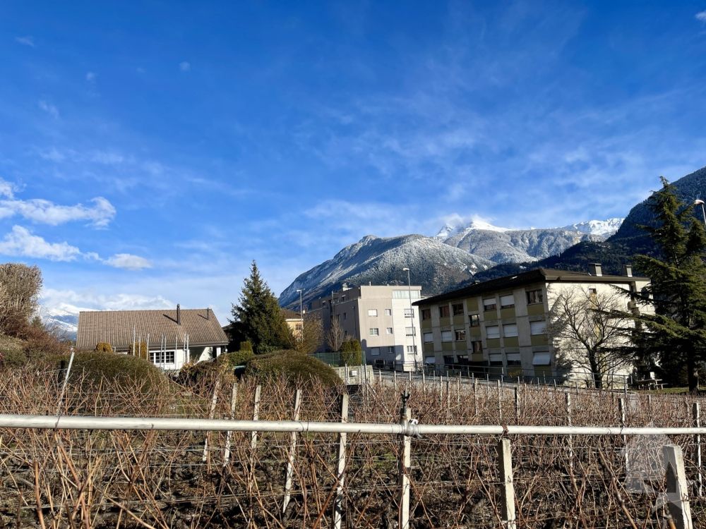 Zu bauen, familienfreundliche 5,5-Zimmer-Villa in ruhiger Umgebung -  Bild 12
