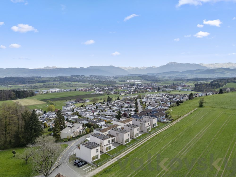 Top of Sins - Bild 3