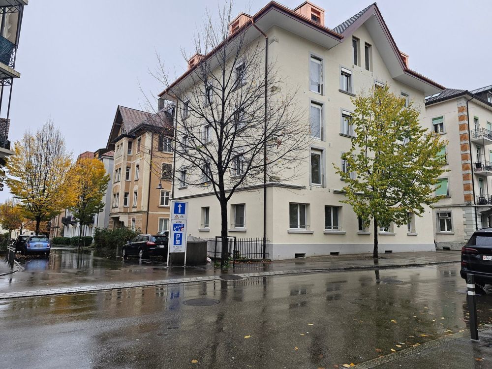 Neu renovierte 2.5-Zimmer-Wohnung mit Seesicht zur Erstvermietung! - Bild 1