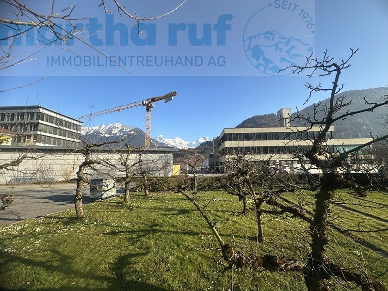 5.5-Zimmer Doppeleinfamilienhaus mit Panorama auf das Jungfraumassiv - Bild 11