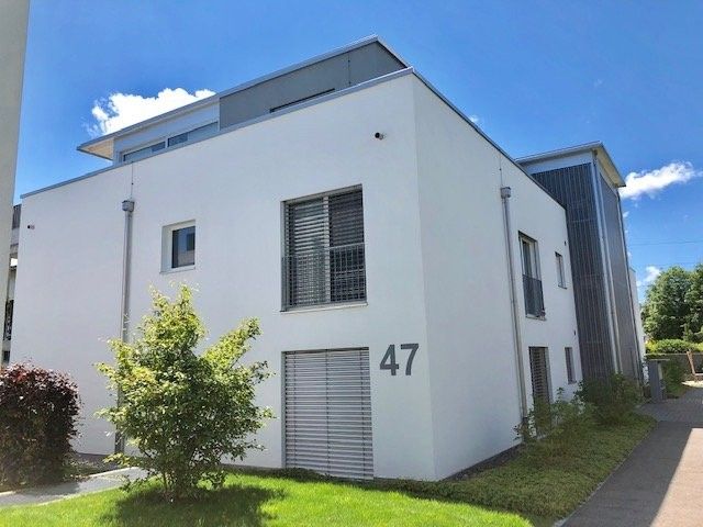 2.5-Zimmer Wohnung - Aussenansicht