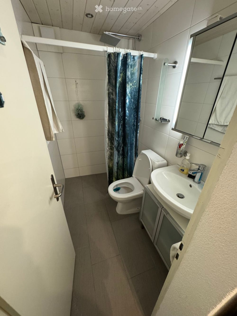 1.5 Zimmer Wohnung mit Seesicht und Garten in Fruthwilen -  Bild 4