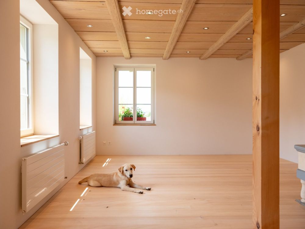 Neue moderne 2.5 Zi. Wohnung mit Charme in Bauernhaus im EG -  Bild 10