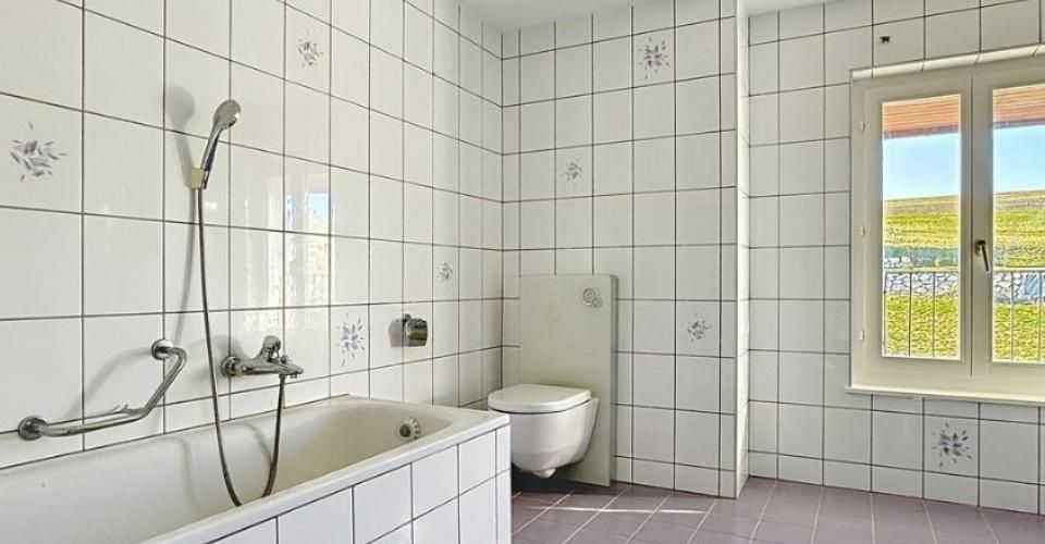 Ferme rénovée de 3 appartements - Immeuble résidentiel - image - 13
