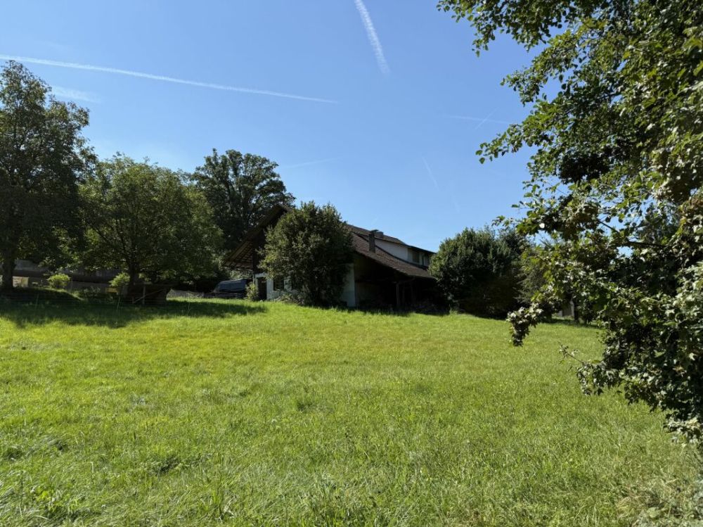 Naturnahes Wohnen mit hohem Wohnkomfort -  Bild 8