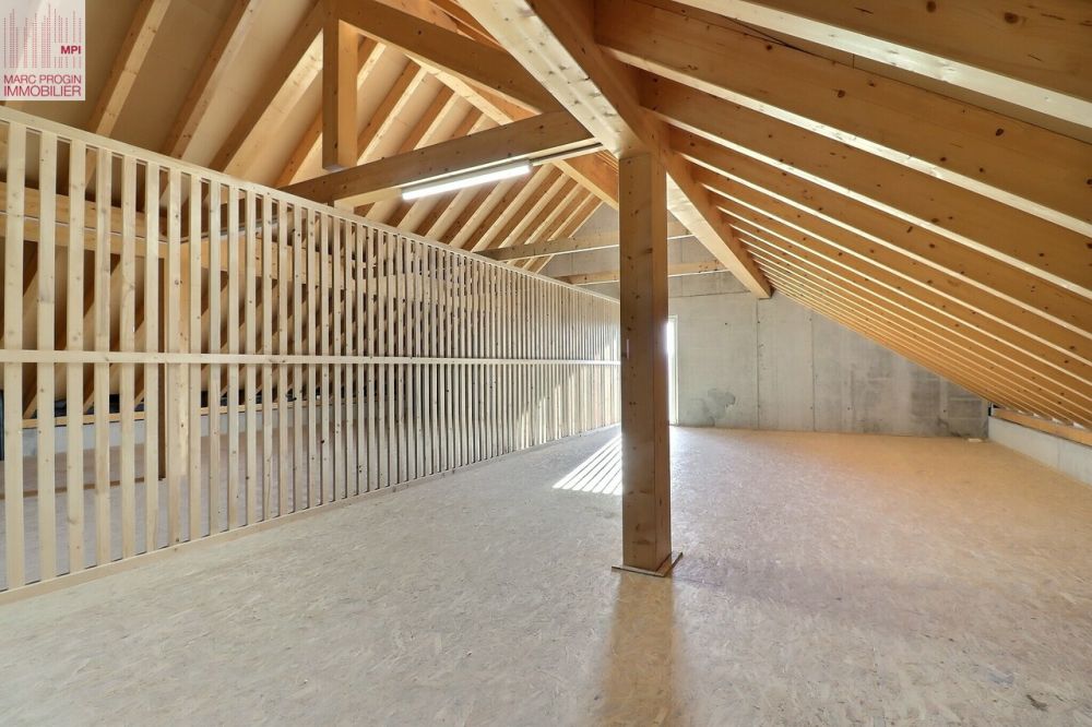 Letztes 5.5-Zimmer-Apartment in kleiner PPE in landwirtschaftlicher Zone - galetas privatif de près de 60 m2