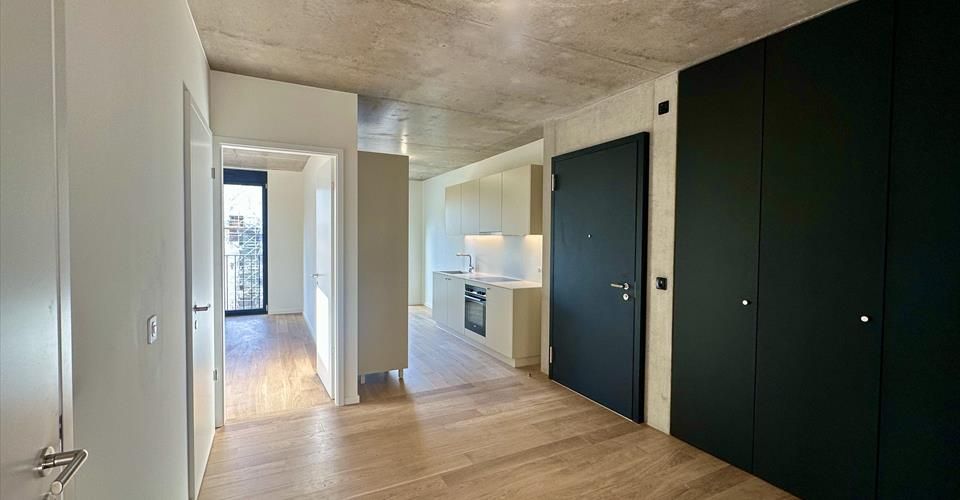 5 PIÈCES NEUFS À CAROUGE – DISPONIBLES IMMÉDIATEMENT - Appartement 5 pièces - image - 4