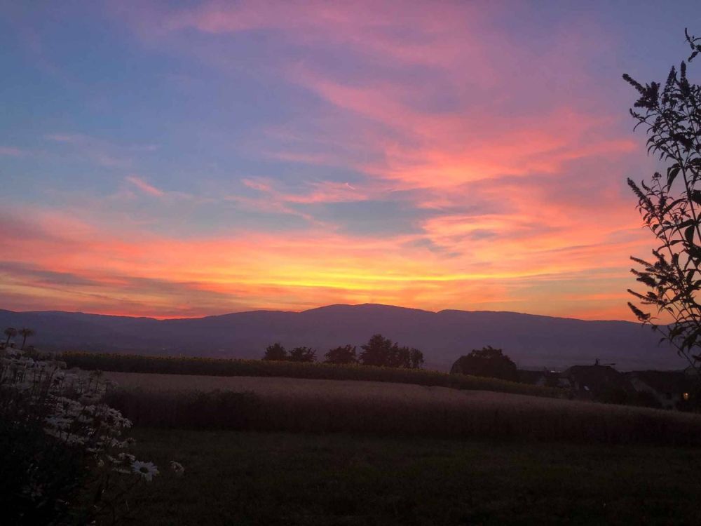 Appartement de 3.5 pièces avec balcon et vue sur le Jura -  Bild 7
