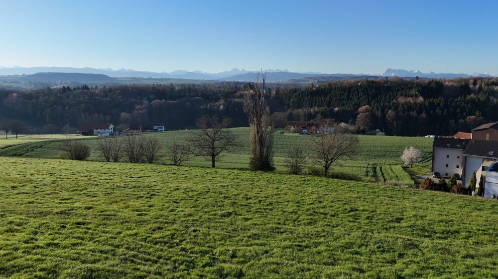 5 pièces avec terrasse, balcon et jardin -  Bild 2