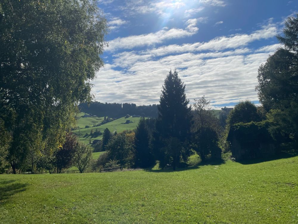 Schickes modernes 7-Zi.-Einfamilienhaus an privilegierter Aussichtslage in Teufen - Bild 1