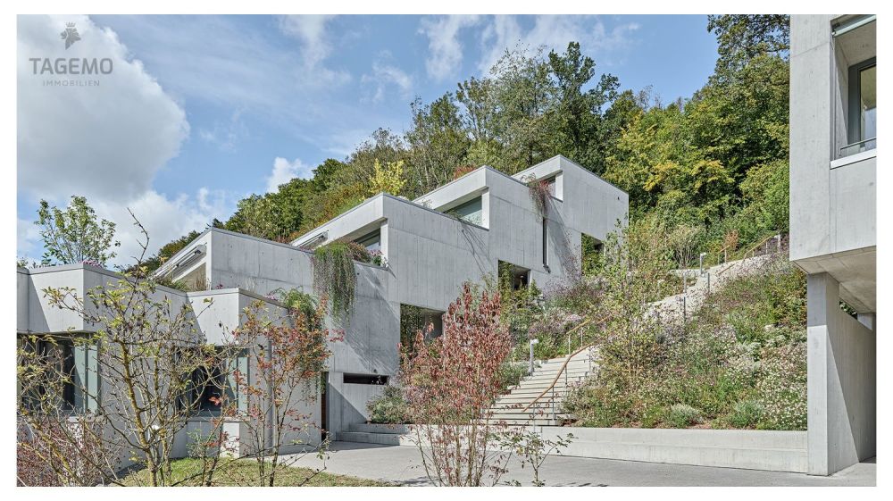 exklusive 5.5 Zimmer Wohnung in moderner Sichtbeton-Architektur – letzte Etappe -  Bild 3