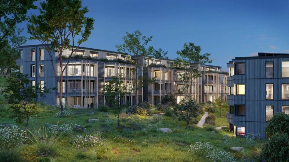 BAUMGARTEN Zürich-Höngg -  Bild 2