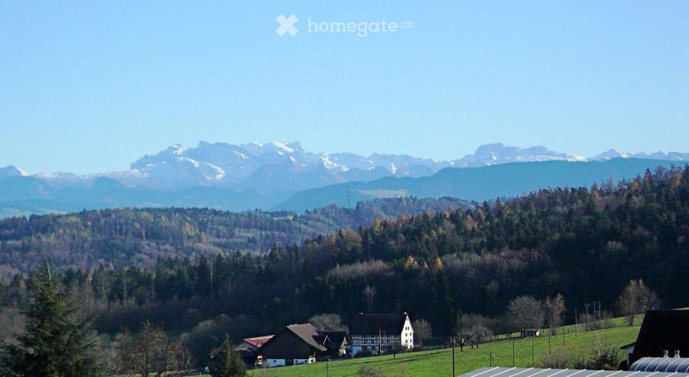 Neubau Doppeleinfamilienhaus in Langnau am Albis -  Bild 6