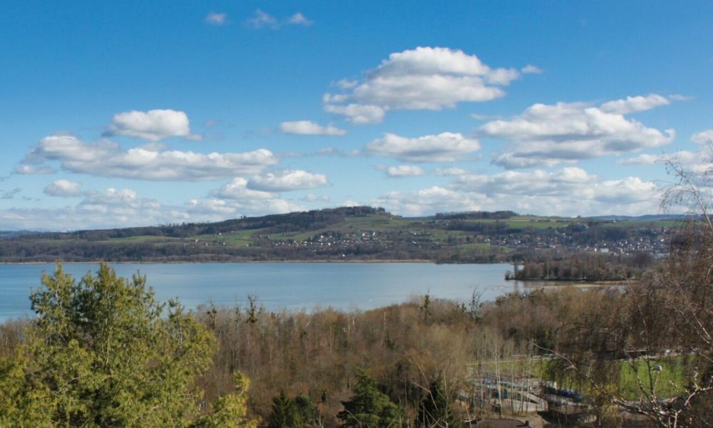 Schönes Appartement mit herrlicher Aussicht auf den See -  Bild 1