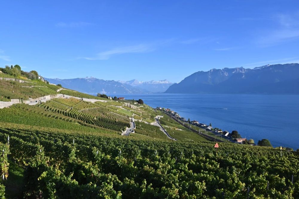 Moderne Wohnung mit spektakulärer Aussicht in Lavaux -  Bild 13