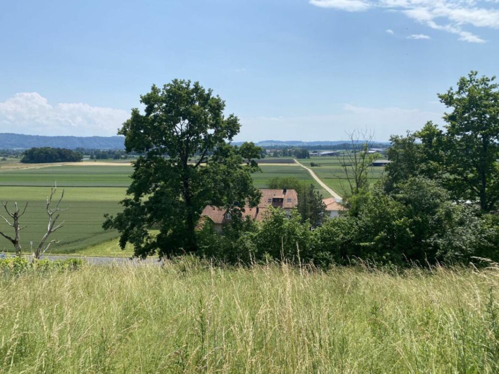 Gampelen/ BE - Appartement neuf de 3.5 pièces - Bild 6