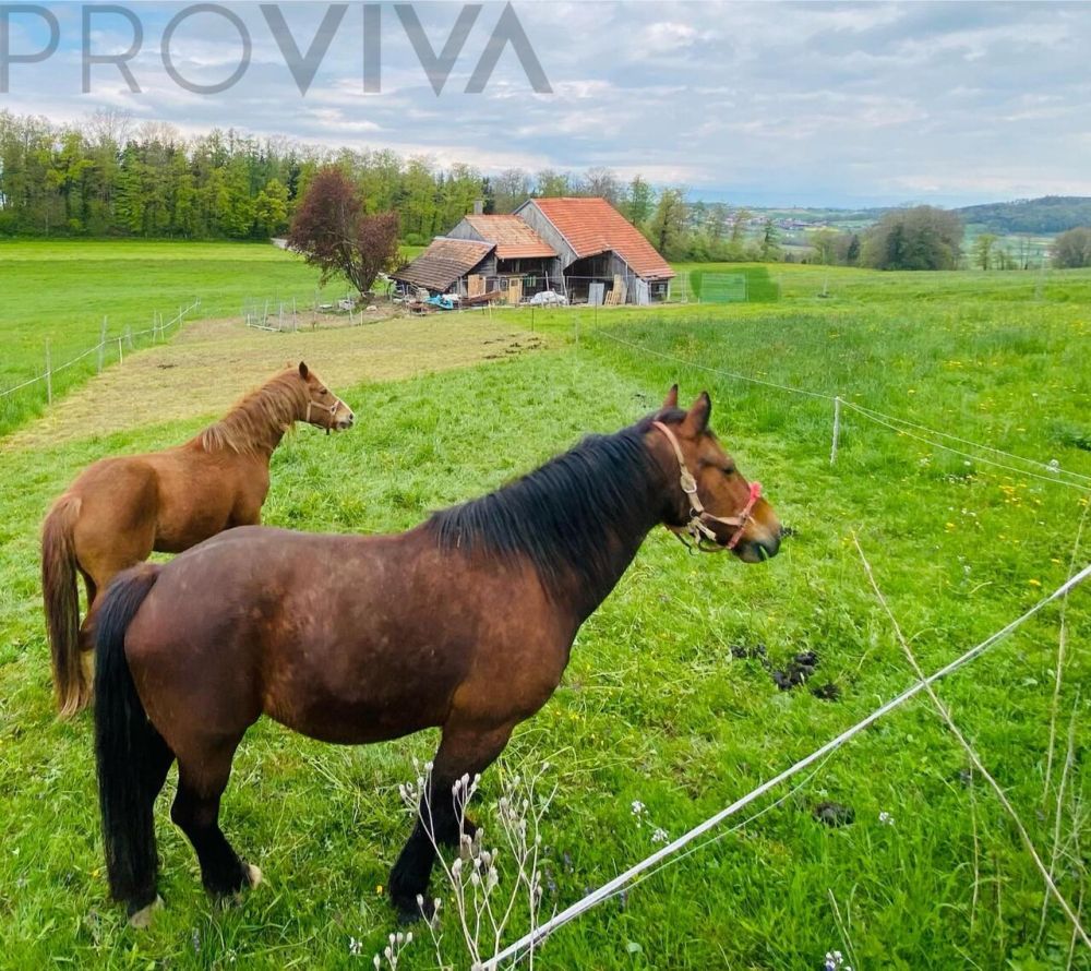 Ferme transformé - prix attractif -  Bild 2